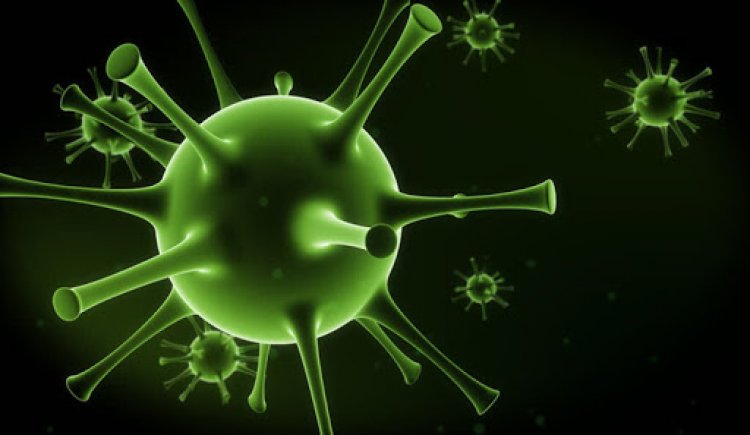 222 new cases of pneumonia, COVID-19 registered in Kyrgyzstan