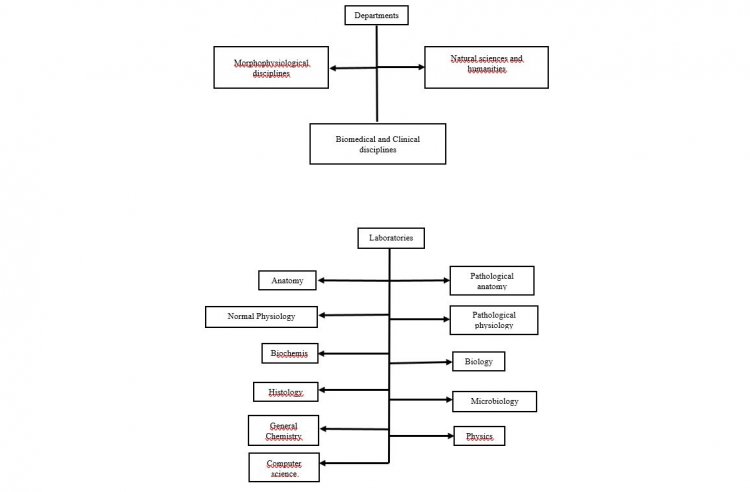 Structure of the Eurasian International Medical University