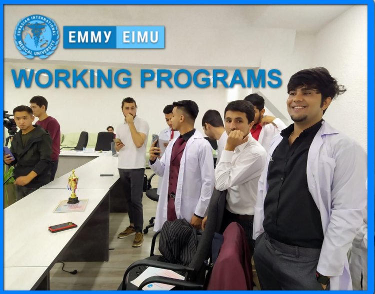 WORKING PROGRAMMES