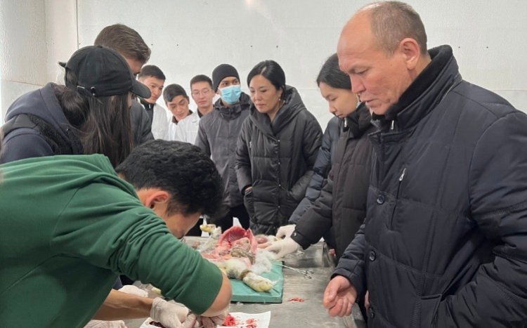 "Step into the future: schoolchildren got acquainted with the world of medicine"